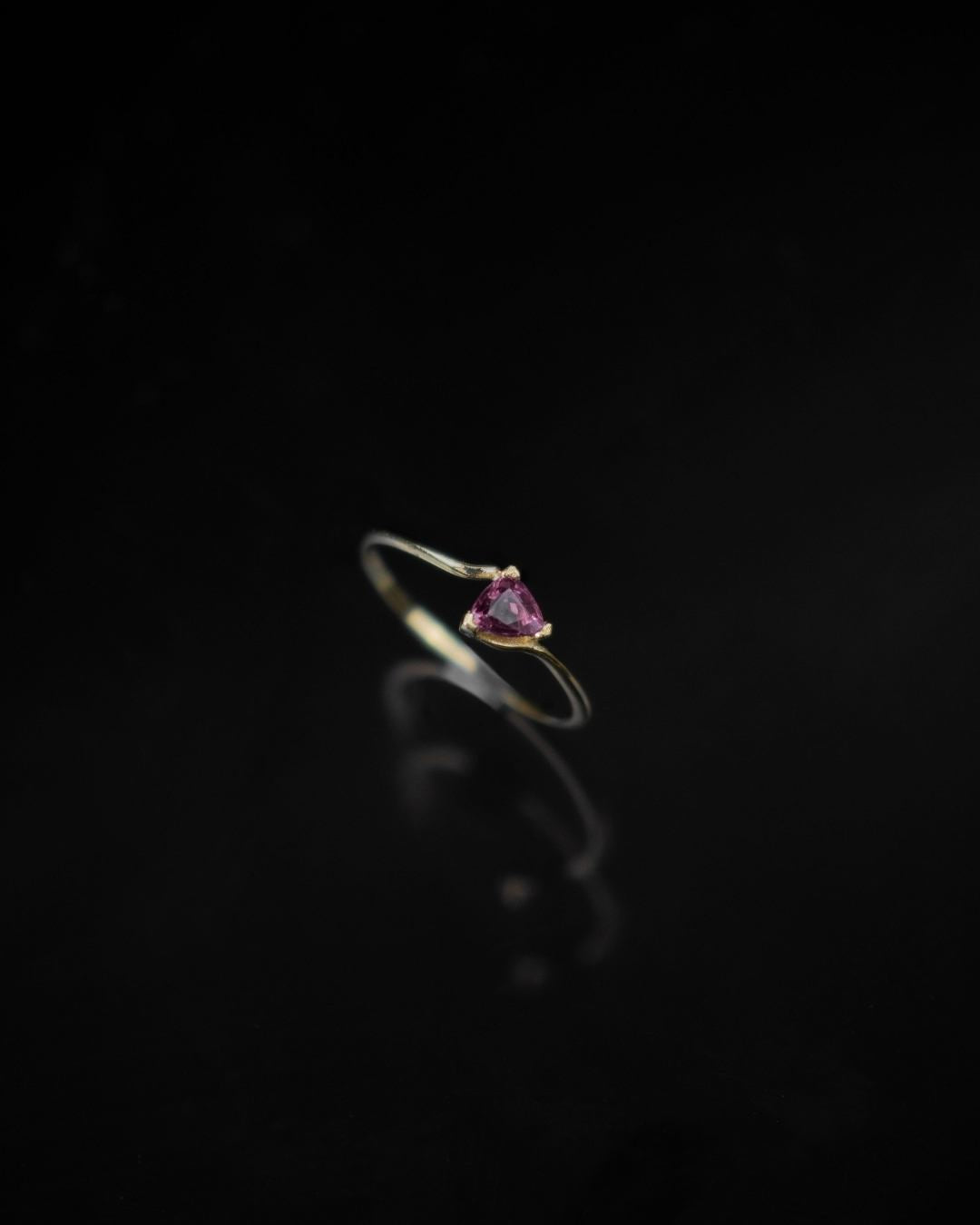 Anillo Arista