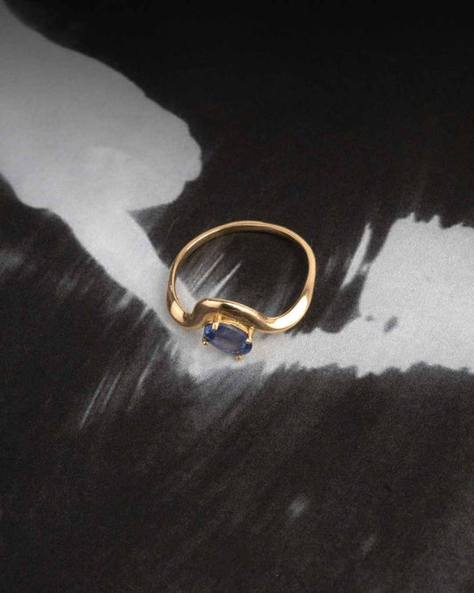 Anillo Deriva