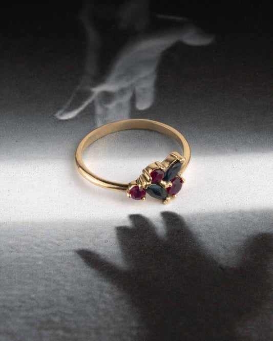 Anillo Dualidad