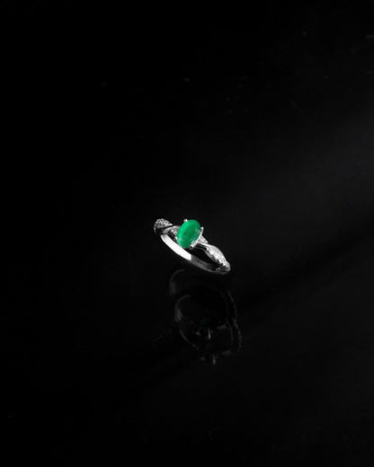 Anillo Núcleo