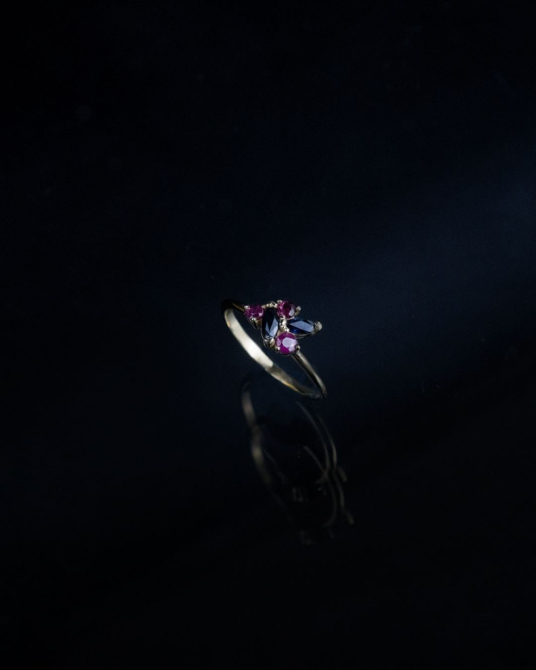 Anillo Dualidad
