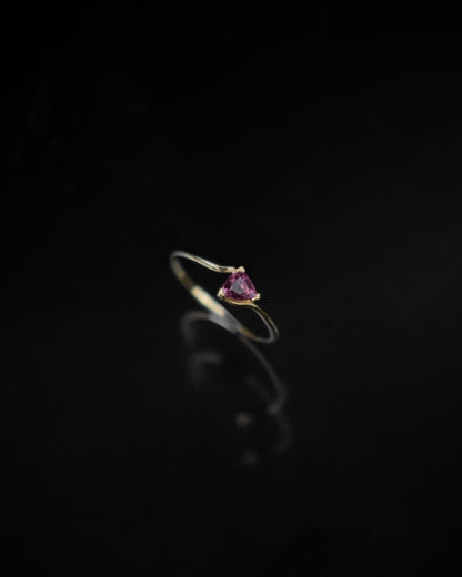 Anillo Arista
